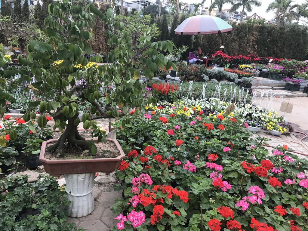 Ha Long Park Hotel מראה חיצוני תמונה